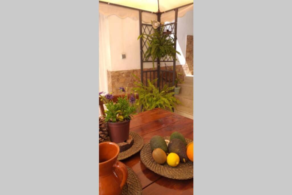Appartement La Vega R. à Vega de Rio de Palmas Extérieur photo